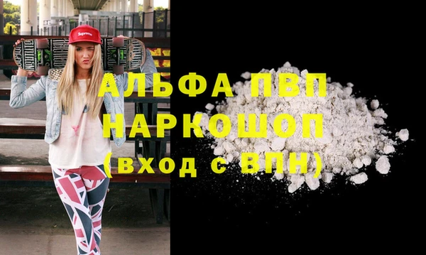 хмурый Сясьстрой