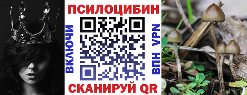 Псилоцибиновые грибы Psilocybine cubensis  сайты даркнета формула  Ахтырский 